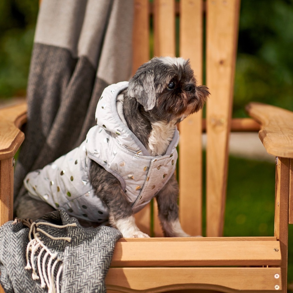 Dog Clothes